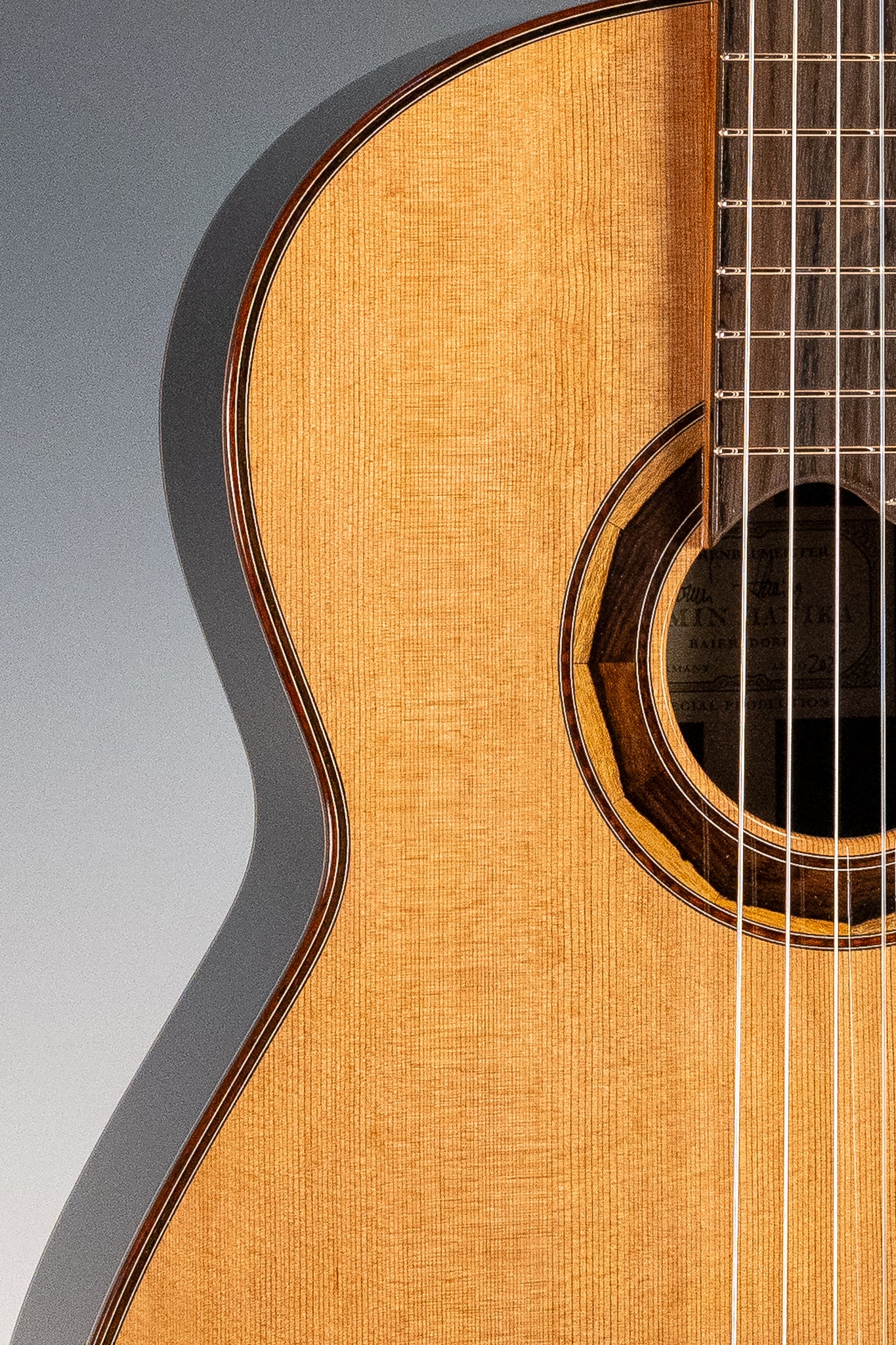 Hanika Professional Line 1a DTL Classical Guitar