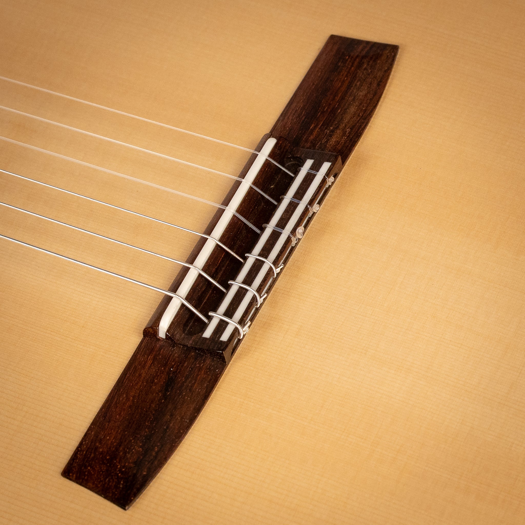 Hanika Natural Torres Classical Guitar