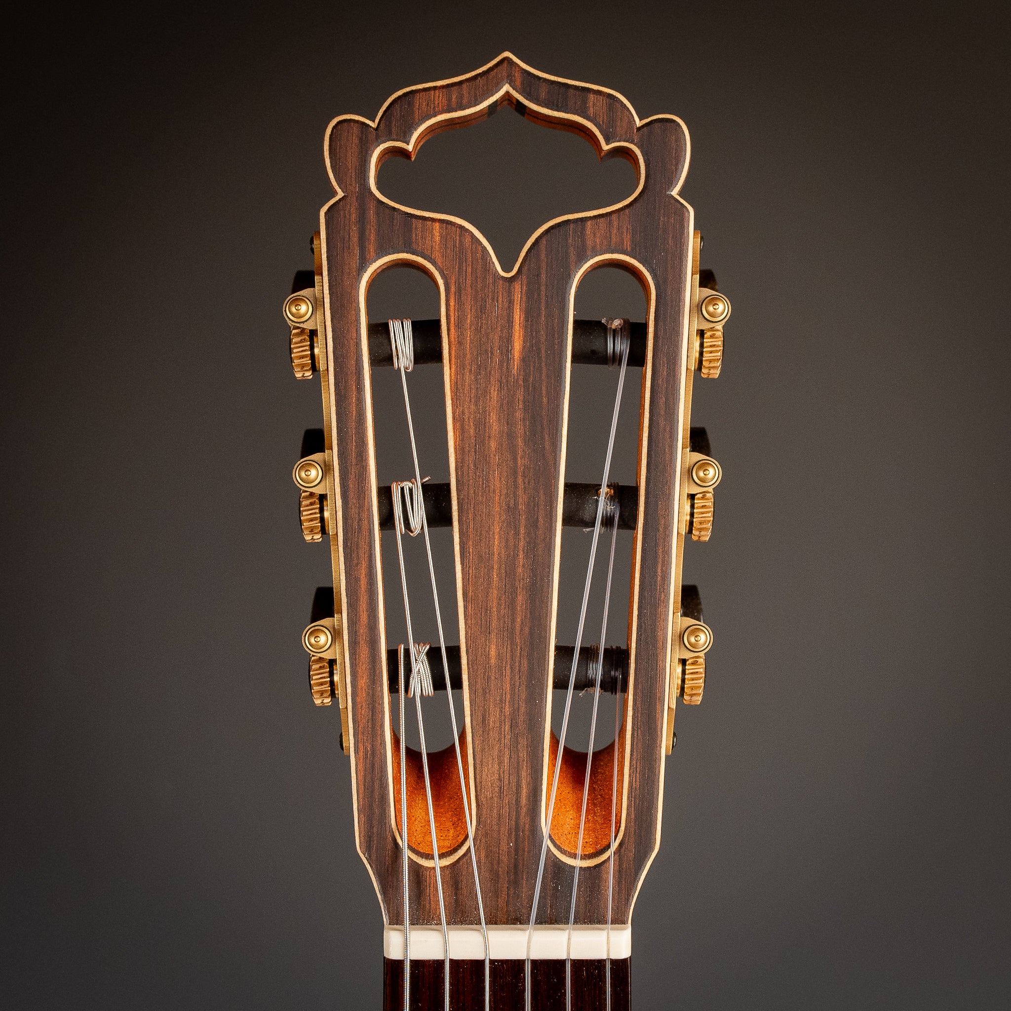 Hanika Natural Torres Classical Guitar