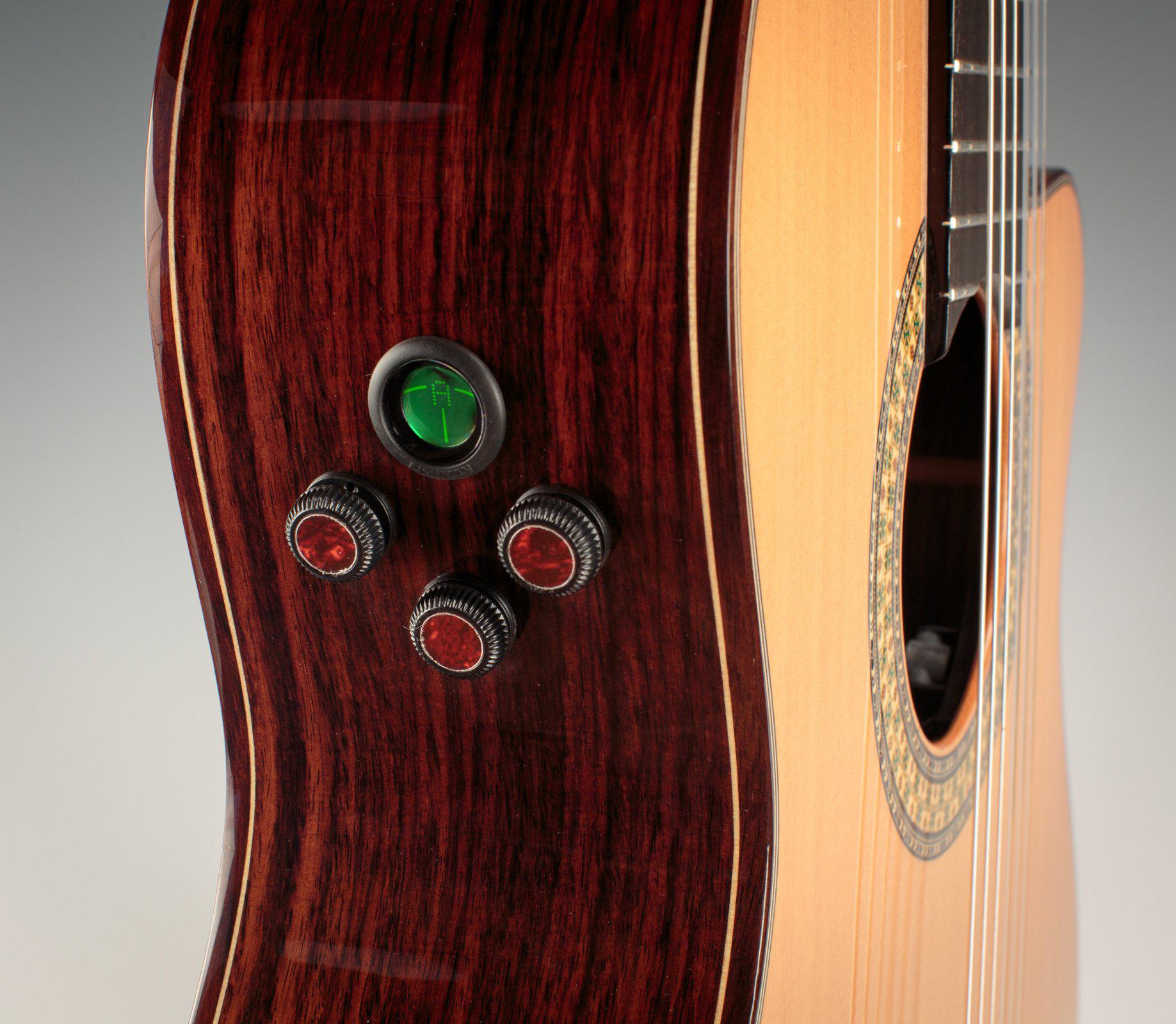 Alhambra 9P CW E8 - Cutaway Classical Guitar w/ Fishman Flex M Blend Preamp