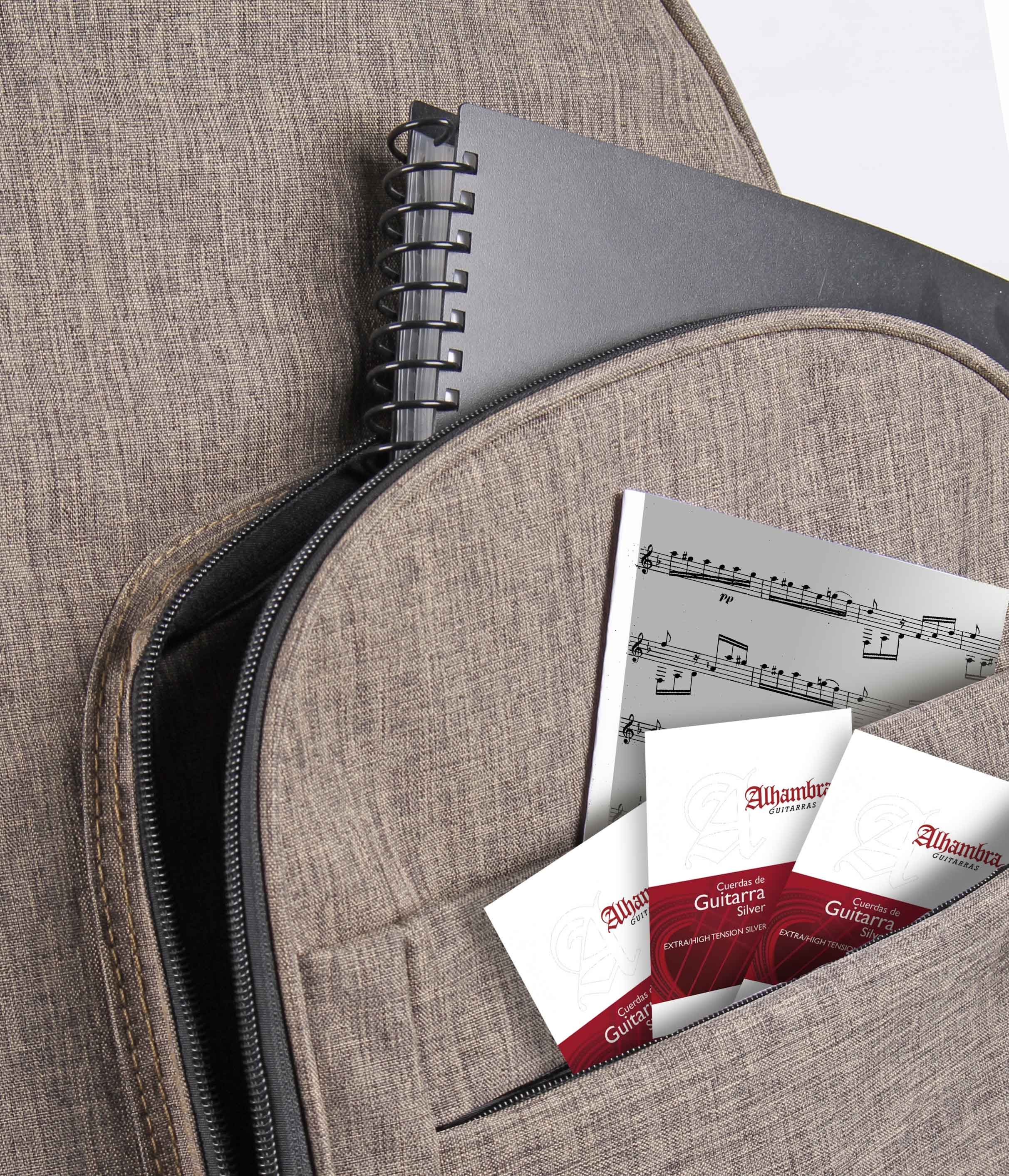 Alhambra 1C Hybrid Terra Classical Guitar