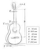 Alhambra 6 Ebony Blanco Classical Guitar