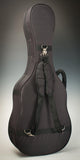 Cordoba C9 Parlor Classical Guitar