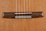 Hanika Professional Line 1a DTL Classical Guitar