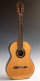 Hanika Professional Line 1a DTL Classical Guitar