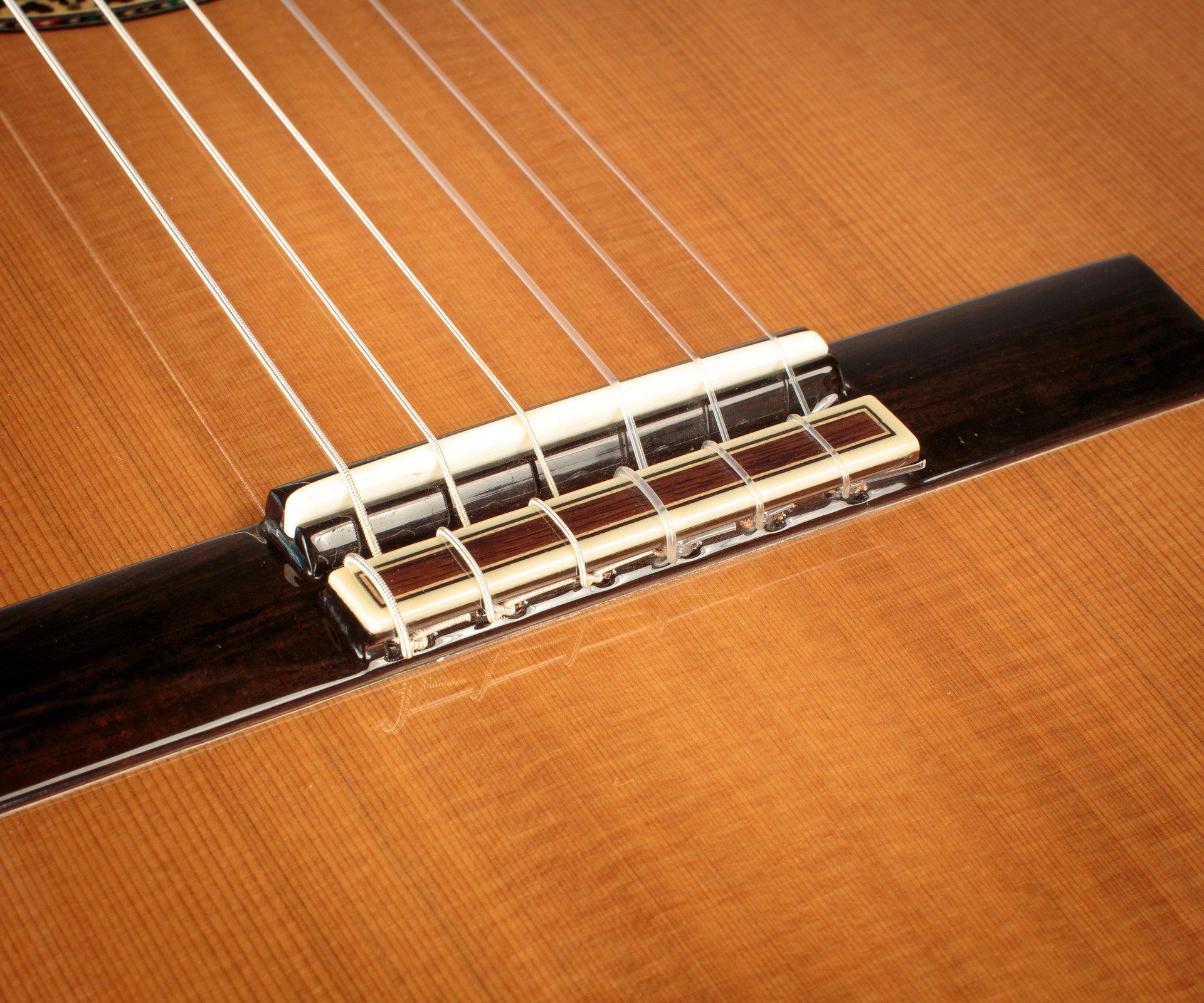 Alhambra Premier Pro Madagascar Classical Guitar