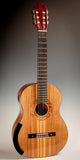 Tony Ennis Classical Guitar, The X-2: Rosewood & Cedar