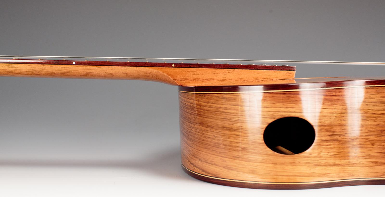 Tony Ennis Classical Guitar, The X-2: Rosewood & Cedar